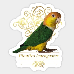 caique Sticker